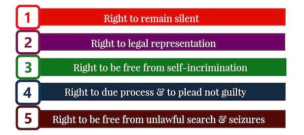 Constitutional Rights Infograph